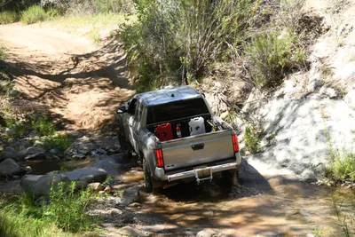 DSC_5916 (Large).JPG